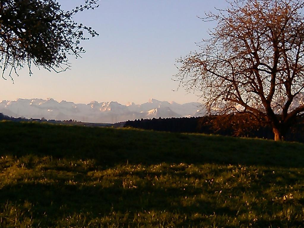 Apartment Bei Linda Beromünster Szoba fotó